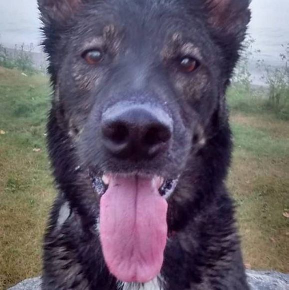 Meet your Posher, Lisa - Picture 1 of 1